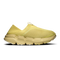Acacia | Acacia