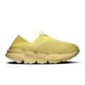 Acacia | Acacia