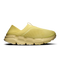 Acacia | Acacia